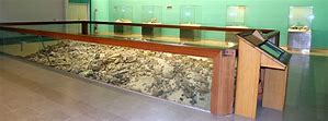 museo_2